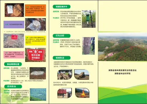 松材线虫病宣传手册三折页