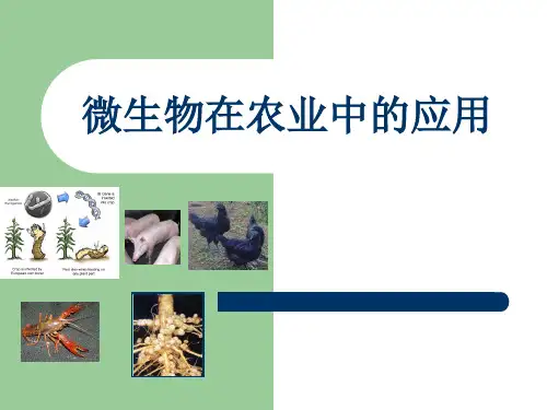 微生物在农业中的应用