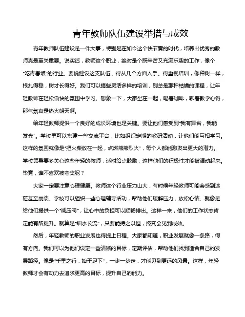 青年教师队伍建设举措与成效