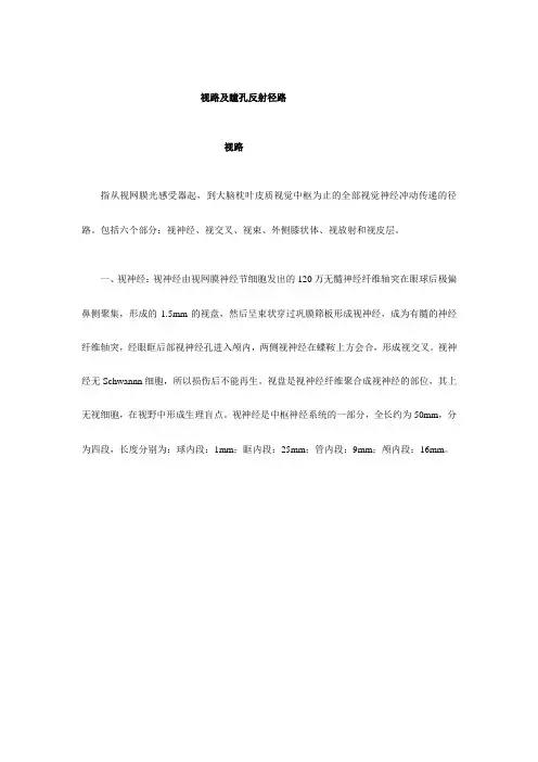 视路及瞳孔反射径路