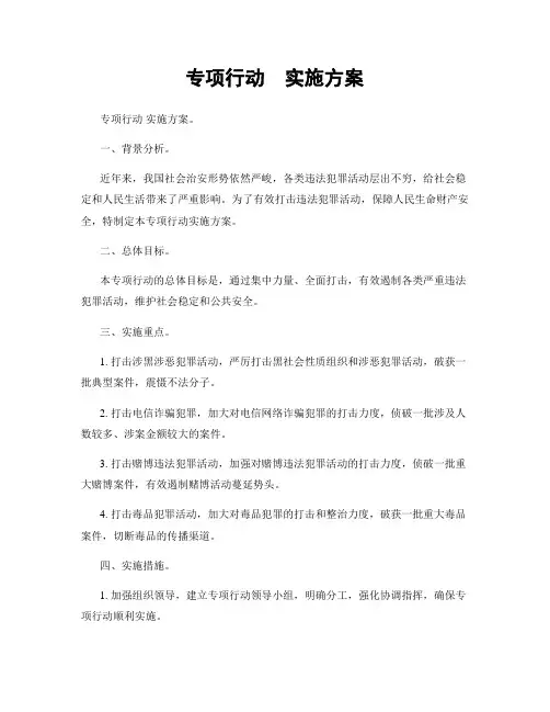 专项行动  实施方案