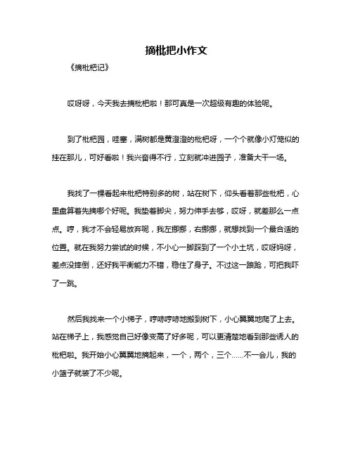 摘枇把小作文
