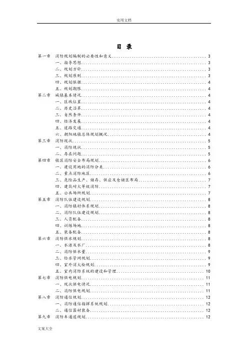 镇消防专项规划说明书