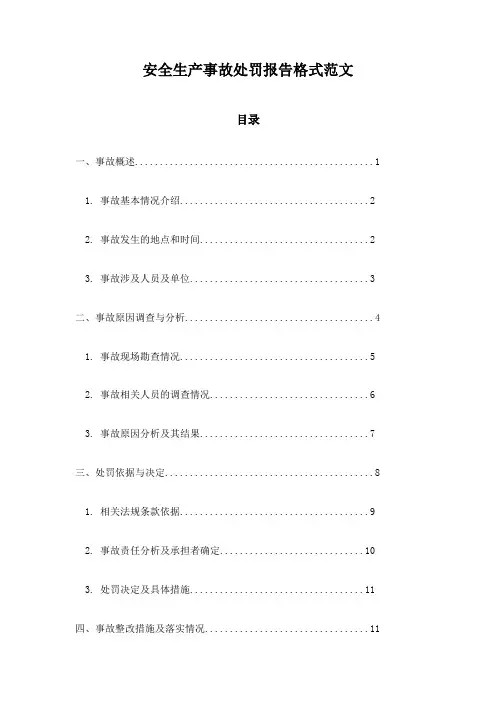 安全生产事故处罚报告格式范文