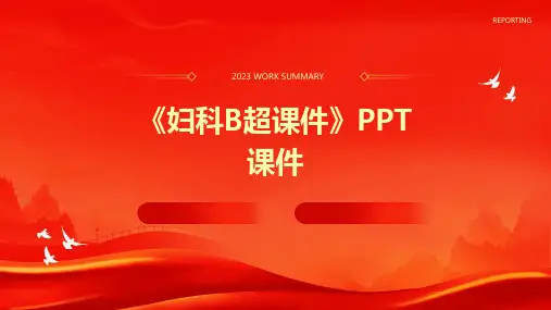 《妇科B超课件》课件