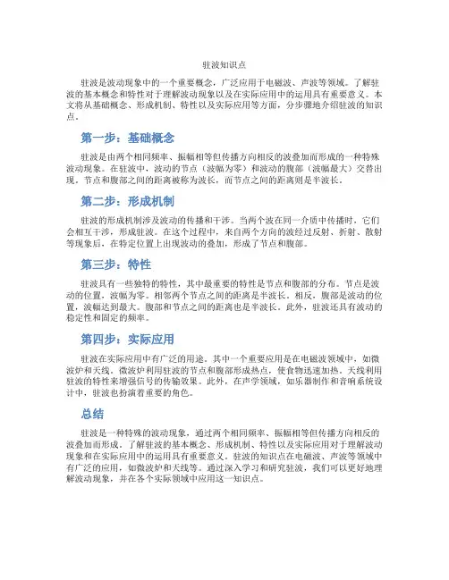 驻波知识点