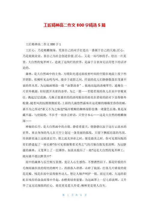 工匠精神高二作文800字精选5篇