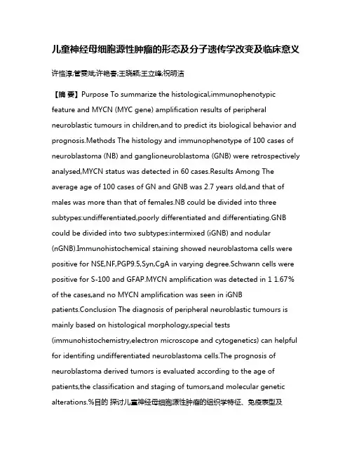 儿童神经母细胞源性肿瘤的形态及分子遗传学改变及临床意义