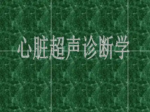 正常超声心动图专家讲座