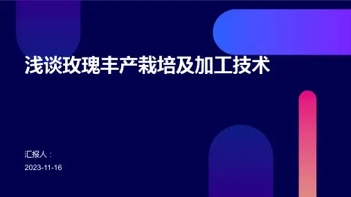 浅谈玫瑰丰产栽培及加工技术