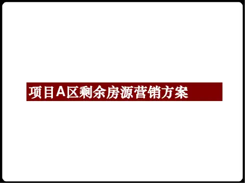 项目剩余房源销售方案