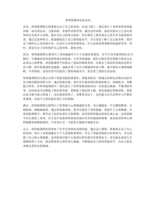 体智能期末收获总结