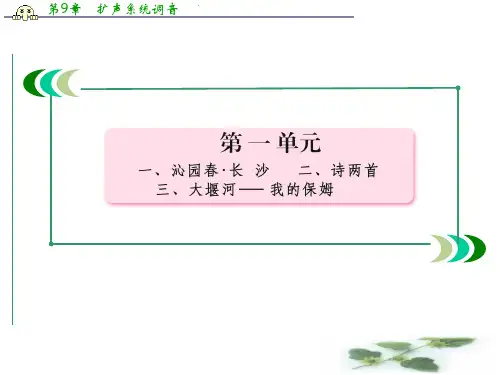 高考语文一轮复习课件专题一 字音(人教必修1)