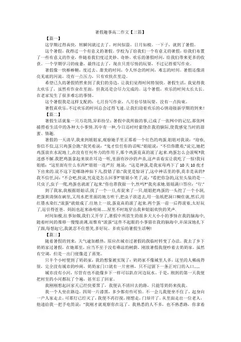 暑假趣事高二作文【三篇】