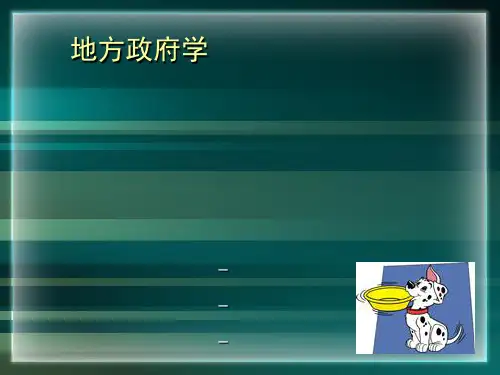 地方政府的职能(ppt40张)