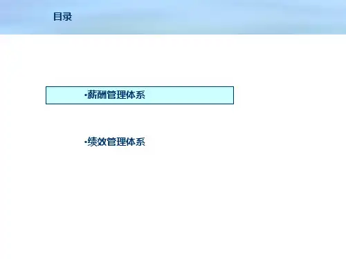人力资源某公司薪酬体系及绩效管理方案