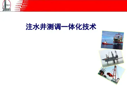 注水井测调一体化技术的应用