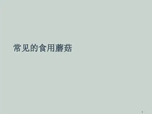 常见的食用蘑菇ppt课件