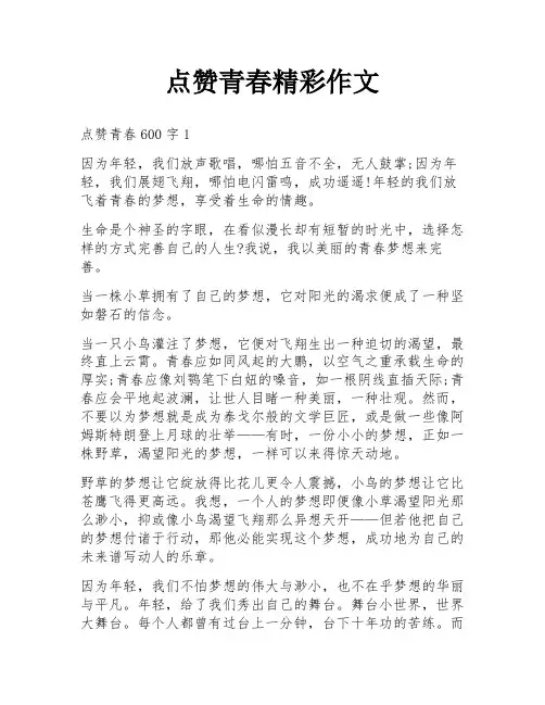 点赞青春精彩作文