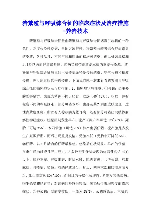 猪繁殖与呼吸综合征的临床症状及治疗措施 - 养猪技术