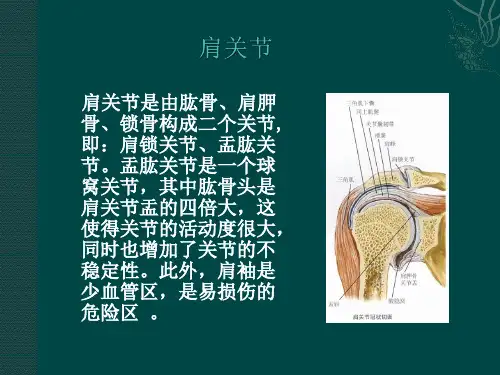 肩关节MRI检查及其常见病表现