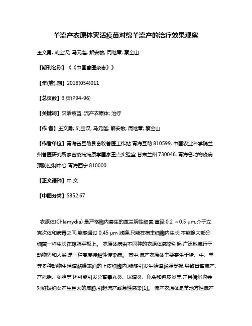 羊流产衣原体灭活疫苗对绵羊流产的治疗效果观察
