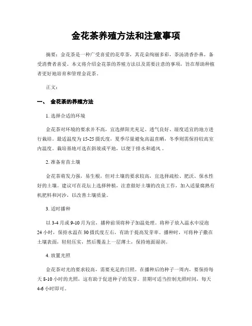 金花茶养殖方法和注意事项