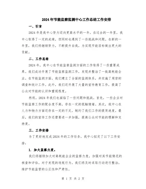 2024年节能监察监测中心工作总结工作安排