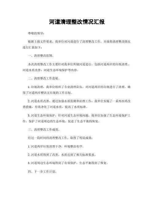 河道清理整改情况汇报