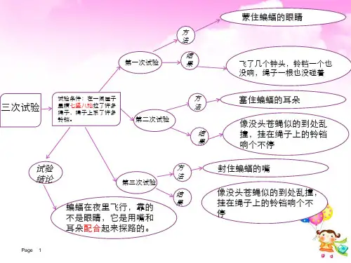 蝙蝠和雷达(公开课直接用附思维导图)ppt课件