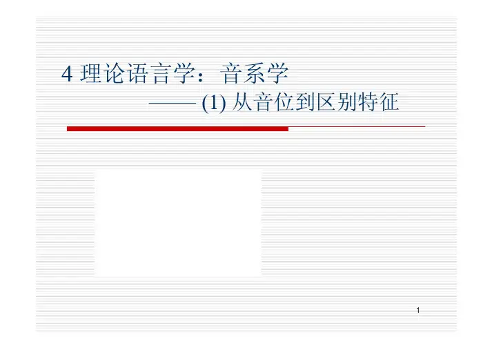 理论语言学课件04音系学