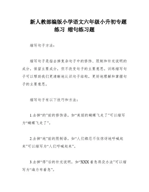 新人教部编版小学语文六年级小升初专题练习 缩句练习题