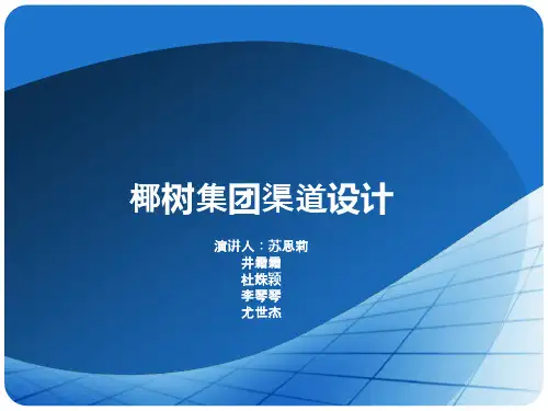 营销渠道设计--椰树集团