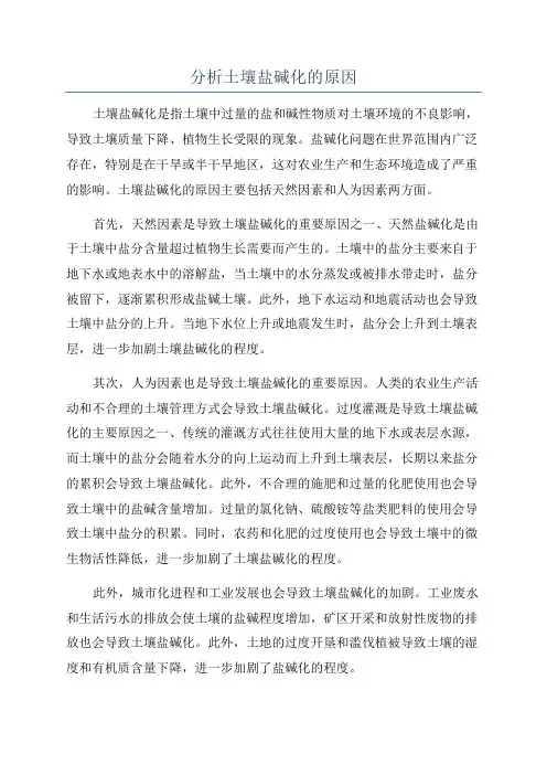 分析土壤盐碱化的原因