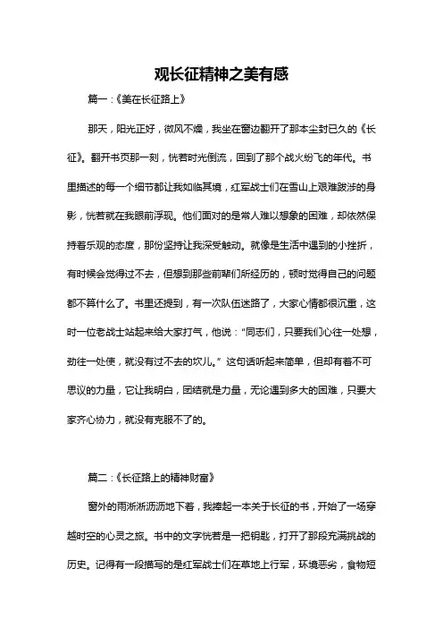 观长征精神之美有感
