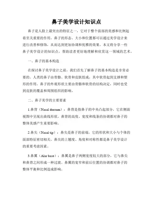 鼻子美学设计知识点