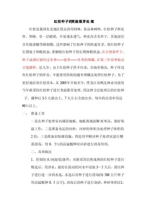 红松种子种植方法