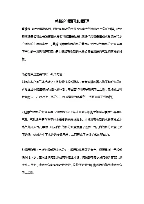 蒸腾的原因和原理