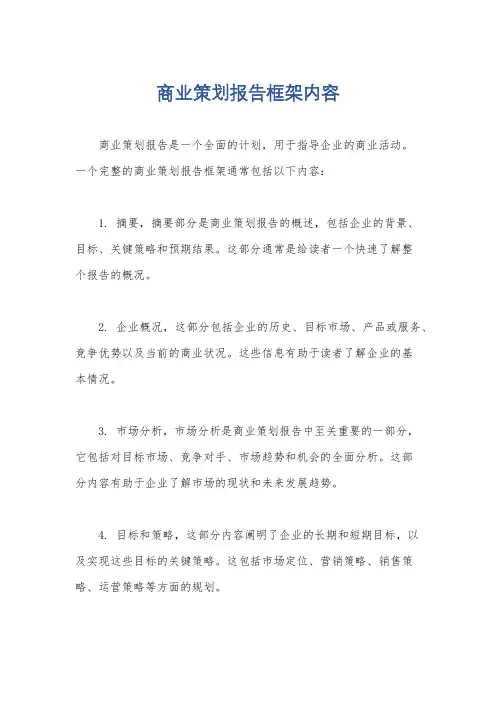 商业策划报告框架内容