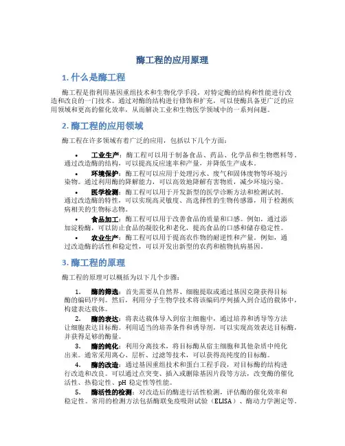 酶工程的应用原理