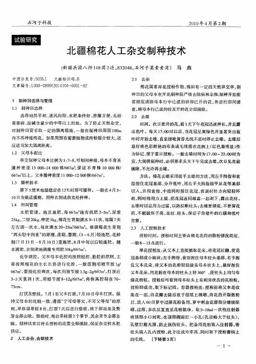 北疆棉花人工杂交制种技术