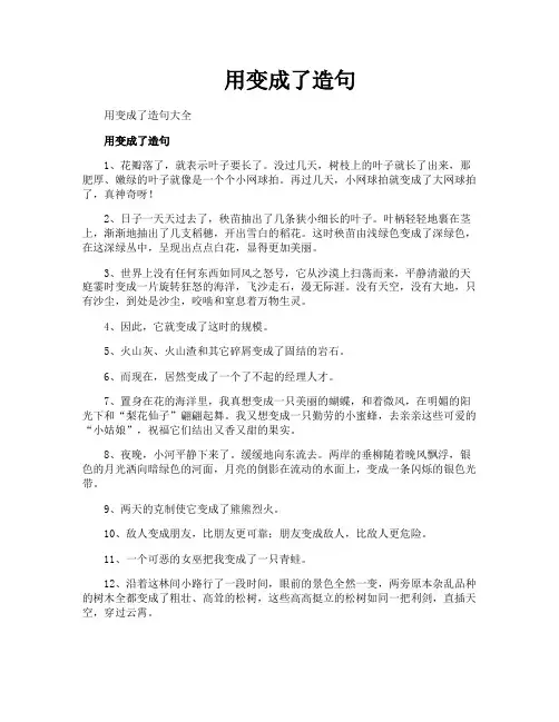 用变成了造句