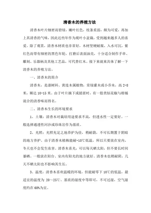 清香木的养殖方法