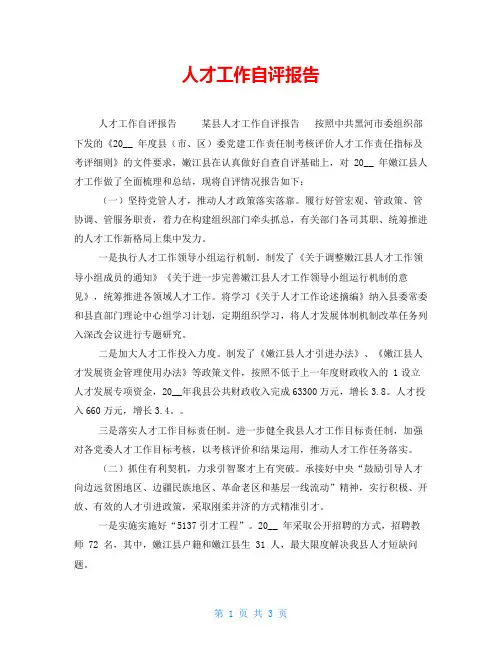 人才工作自评报告
