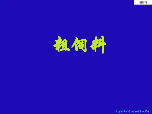 2.粗饲料(新)资料