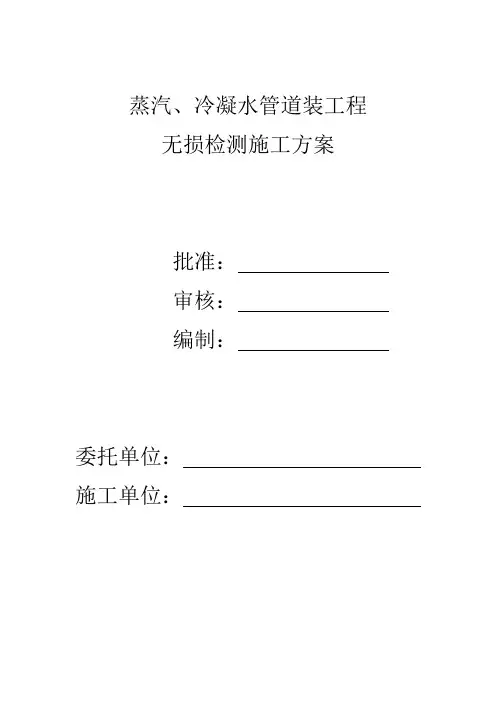 蒸汽、冷凝水管道无损检测专项方案