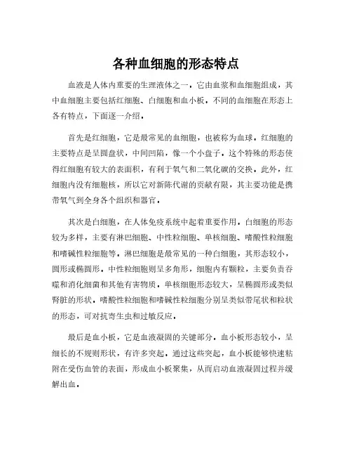 各种血细胞的形态特点