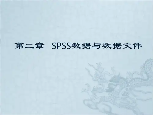 统计分析与Spss应用第二章(数据与数据文件)