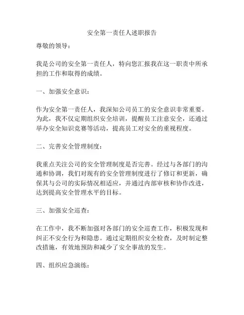 安全第一责任人述职报告