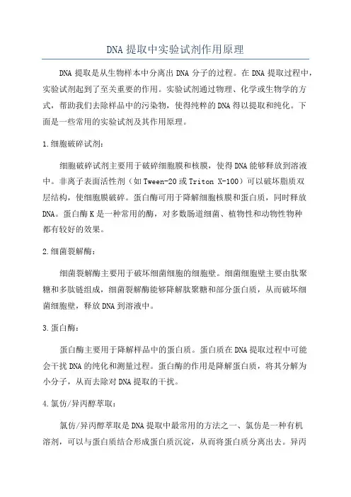 DNA提取中实验试剂作用原理